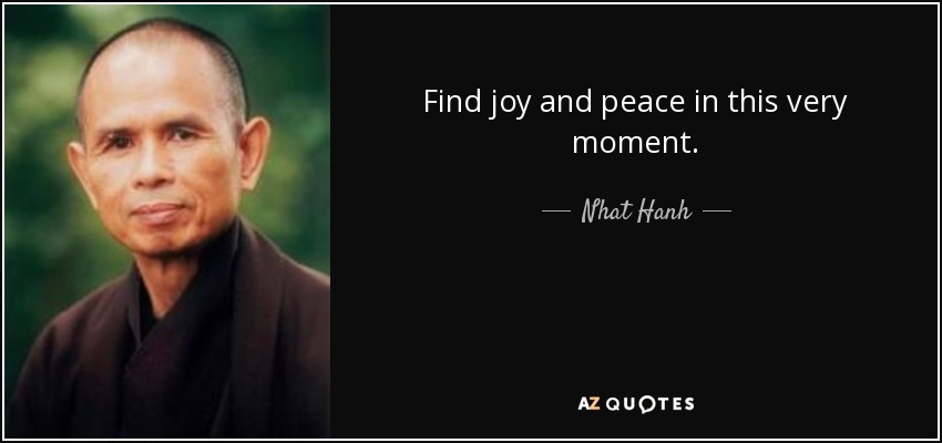 Find joy and peace in this very moment. - Nhat Hanh