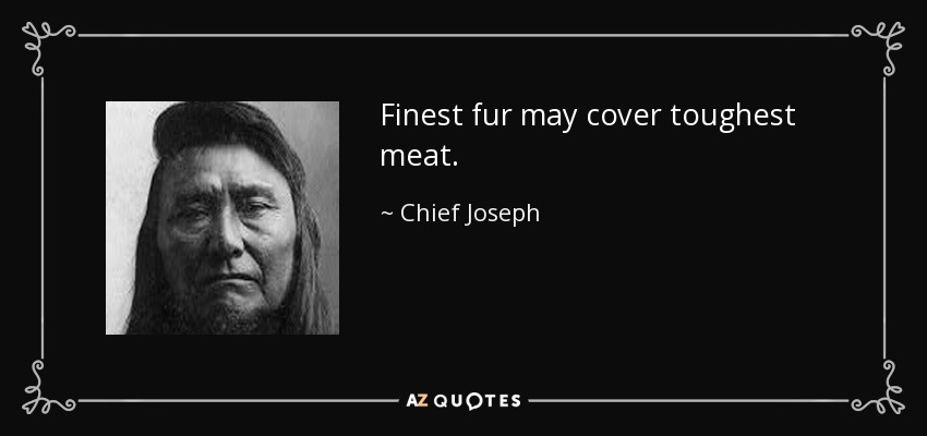 Finest fur may cover toughest meat. - Chief Joseph