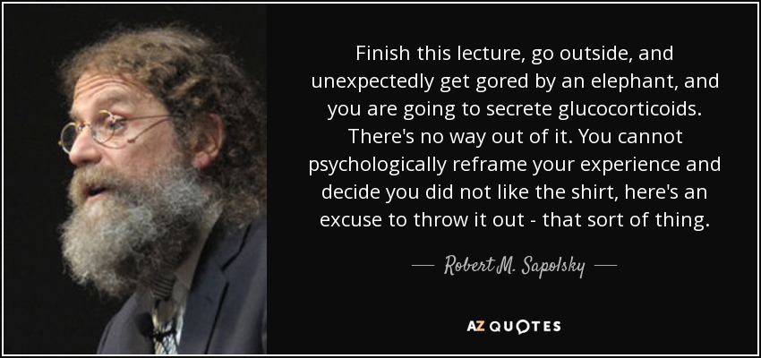 Finish this lecture, go outside, and unexpectedly get gored by an elephant, and you are going to secrete glucocorticoids. There's no way out of it. You cannot psychologically reframe your experience and decide you did not like the shirt, here's an excuse to throw it out - that sort of thing. - Robert M. Sapolsky