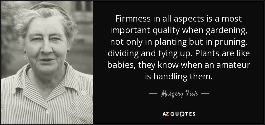 Firmness in all aspects is a most important quality when gardening, not only in planting but in pruning, dividing and tying up. Plants are like babies, they know when an amateur is handling them. - Margery Fish