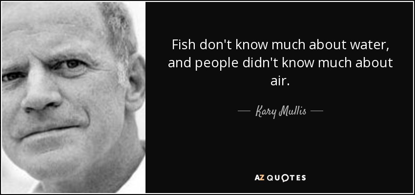 Fish don't know much about water, and people didn't know much about air. - Kary Mullis