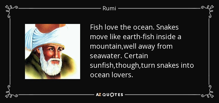 Fish love the ocean. Snakes move like earth-fish inside a mountain,well away from seawater. Certain sunfish,though,turn snakes into ocean lovers. - Rumi