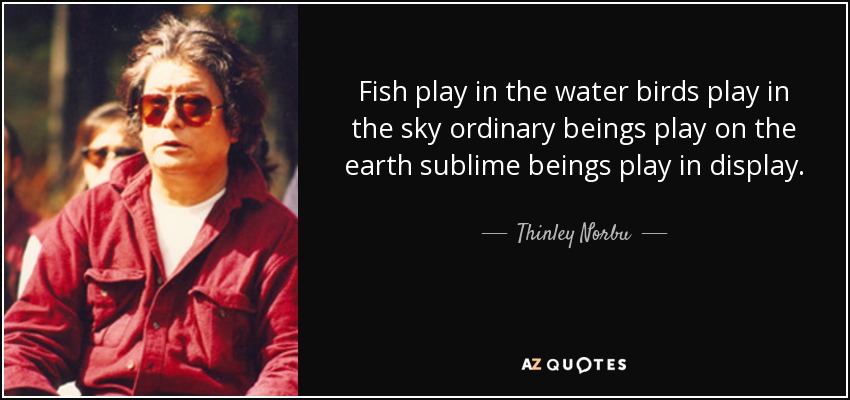 Fish play in the water birds play in the sky ordinary beings play on the earth sublime beings play in display. - Thinley Norbu