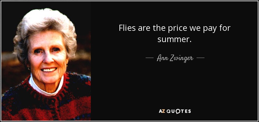Flies are the price we pay for summer. - Ann Zwinger
