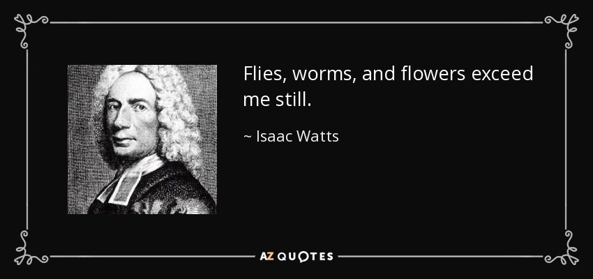 Flies, worms, and flowers exceed me still. - Isaac Watts