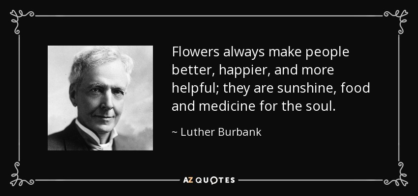 Flowers always make people better, happier, and more helpful; they are sunshine, food and medicine for the soul. - Luther Burbank