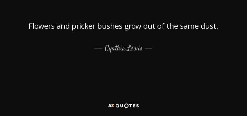Flowers and pricker bushes grow out of the same dust. - Cynthia Lewis
