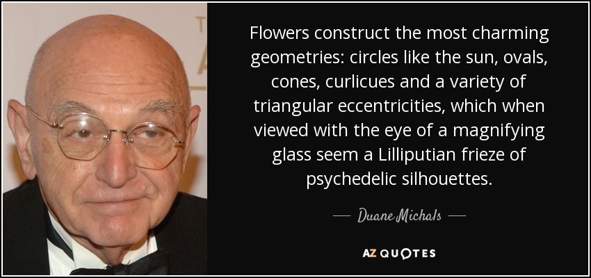 Flowers construct the most charming geometries: circles like the sun, ovals, cones, curlicues and a variety of triangular eccentricities, which when viewed with the eye of a magnifying glass seem a Lilliputian frieze of psychedelic silhouettes. - Duane Michals