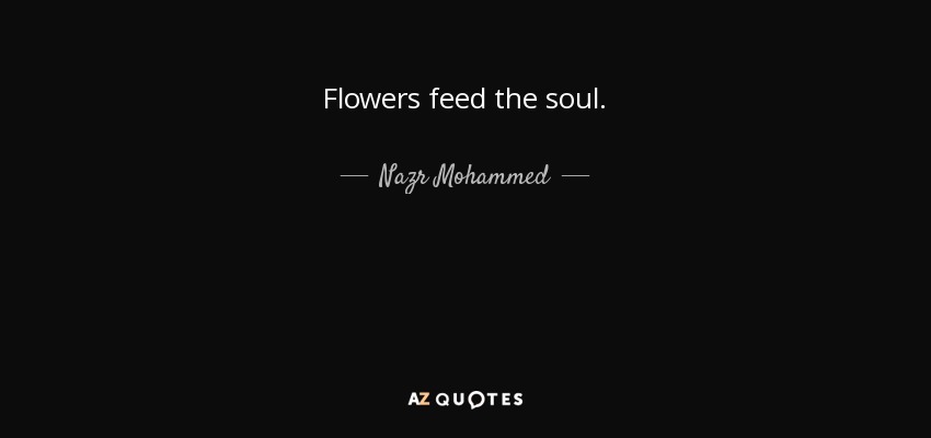 Flowers feed the soul. - Nazr Mohammed