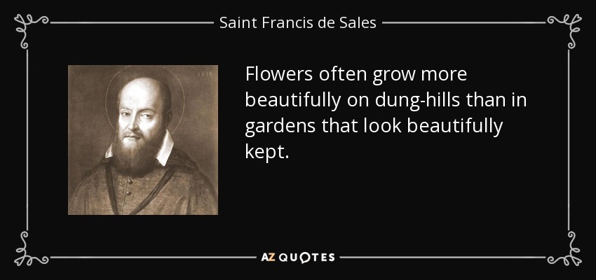 Flowers often grow more beautifully on dung-hills than in gardens that look beautifully kept. - Saint Francis de Sales