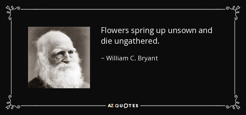 Flowers spring up unsown and die ungathered. - William C. Bryant