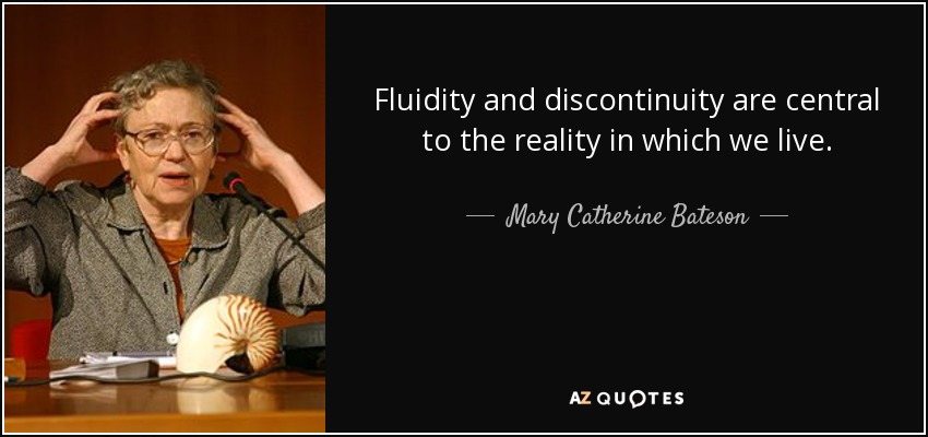 Fluidity and discontinuity are central to the reality in which we live. - Mary Catherine Bateson