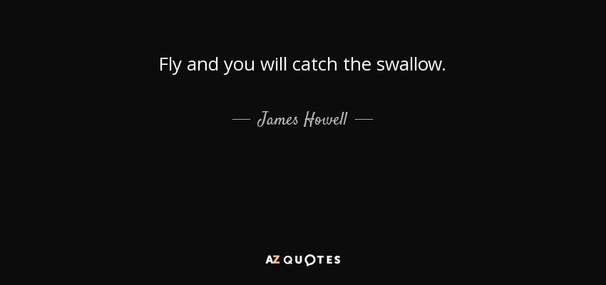 Fly and you will catch the swallow. - James Howell