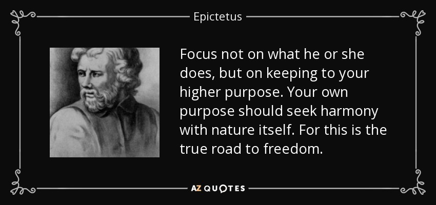 Focus not on what he or she does, but on keeping to your higher purpose. Your own purpose should seek harmony with nature itself. For this is the true road to freedom. - Epictetus