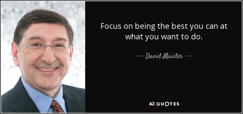 Focus on being the best you can at what you want to do. - David Maister