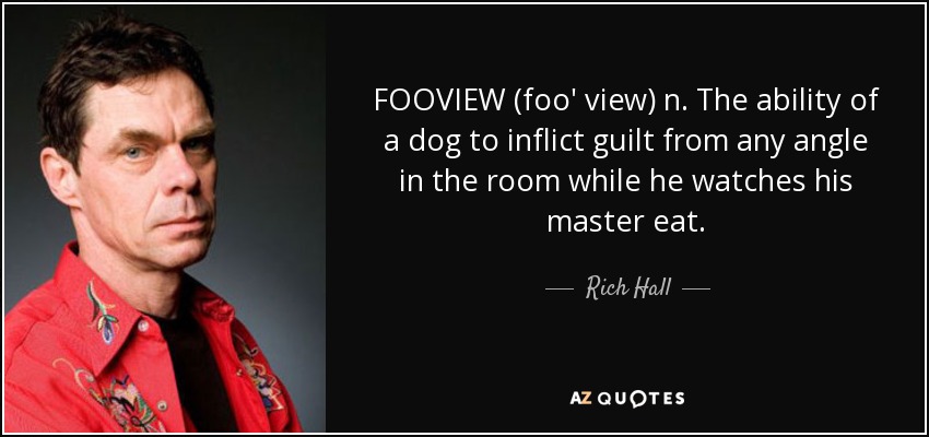 FOOVIEW (foo' view) n. The ability of a dog to inflict guilt from any angle in the room while he watches his master eat. - Rich Hall