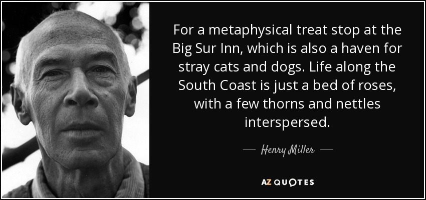 For a metaphysical treat stop at the Big Sur Inn, which is also a haven for stray cats and dogs. Life along the South Coast is just a bed of roses, with a few thorns and nettles interspersed. - Henry Miller