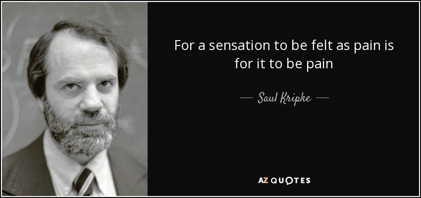 For a sensation to be felt as pain is for it to be pain - Saul Kripke
