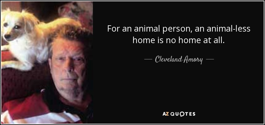 TOP 25 QUOTES BY CLEVELAND AMORY | A-Z Quotes