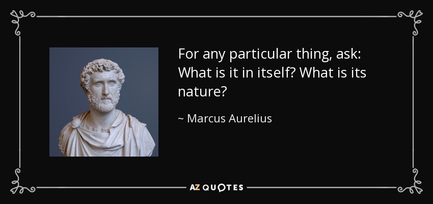 For any particular thing, ask: What is it in itself? What is its nature? - Marcus Aurelius