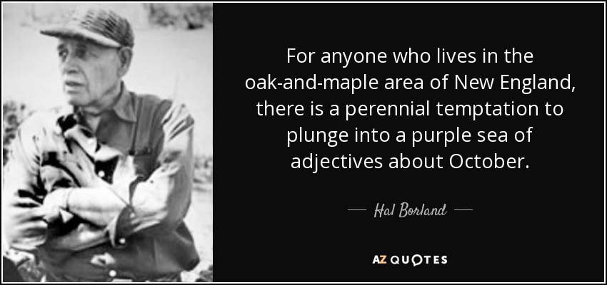 For anyone who lives in the oak-and-maple area of New England, there is a perennial temptation to plunge into a purple sea of adjectives about October. - Hal Borland