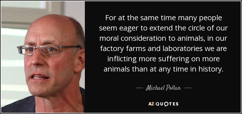 For at the same time many people seem eager to extend the circle of our moral consideration to animals, in our factory farms and laboratories we are inflicting more suffering on more animals than at any time in history. - Michael Pollan
