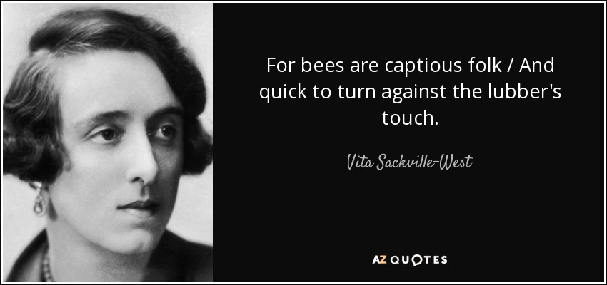 For bees are captious folk / And quick to turn against the lubber's touch. - Vita Sackville-West