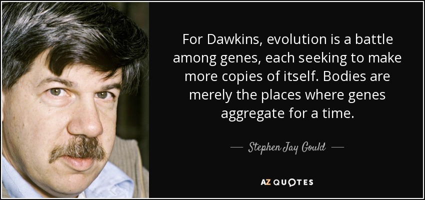 For Dawkins, evolution is a battle among genes, each seeking to make more copies of itself. Bodies are merely the places where genes aggregate for a time. - Stephen Jay Gould