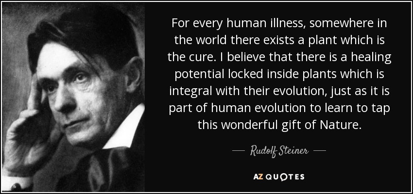 For every human illness, somewhere in the world there exists a plant which is the cure. I believe that there is a healing potential locked inside plants which is integral with their evolution, just as it is part of human evolution to learn to tap this wonderful gift of Nature. - Rudolf Steiner