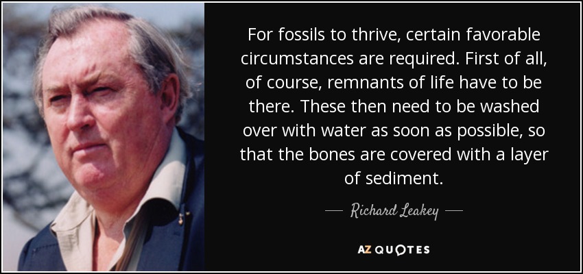 For fossils to thrive, certain favorable circumstances are required. First of all, of course, remnants of life have to be there. These then need to be washed over with water as soon as possible, so that the bones are covered with a layer of sediment. - Richard Leakey