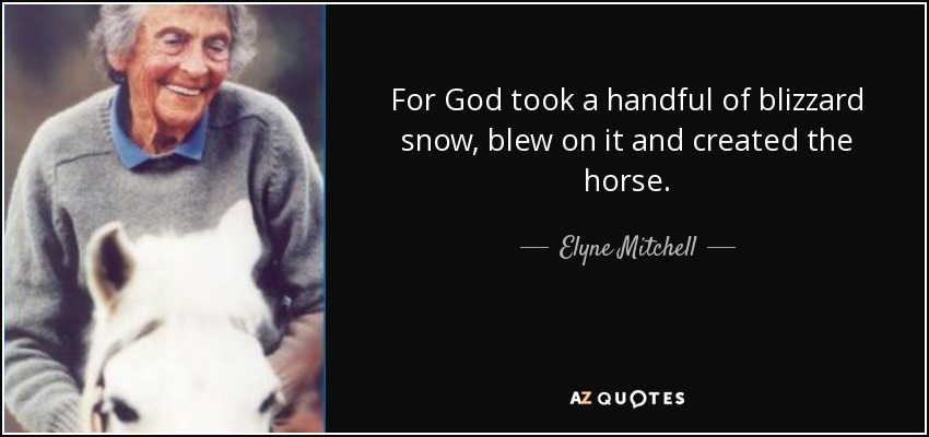 For God took a handful of blizzard snow, blew on it and created the horse. - Elyne Mitchell