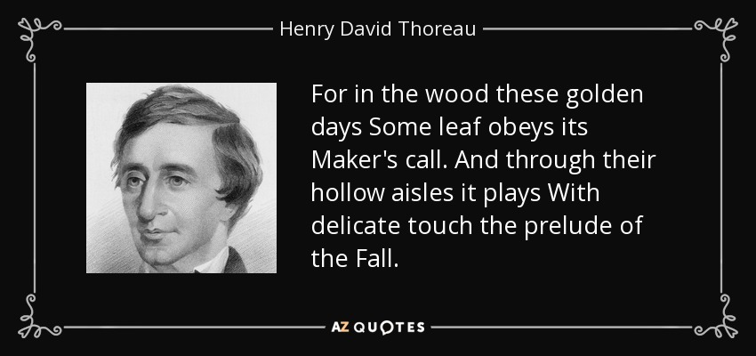 For in the wood these golden days Some leaf obeys its Maker's call. And through their hollow aisles it plays With delicate touch the prelude of the Fall. - Henry David Thoreau