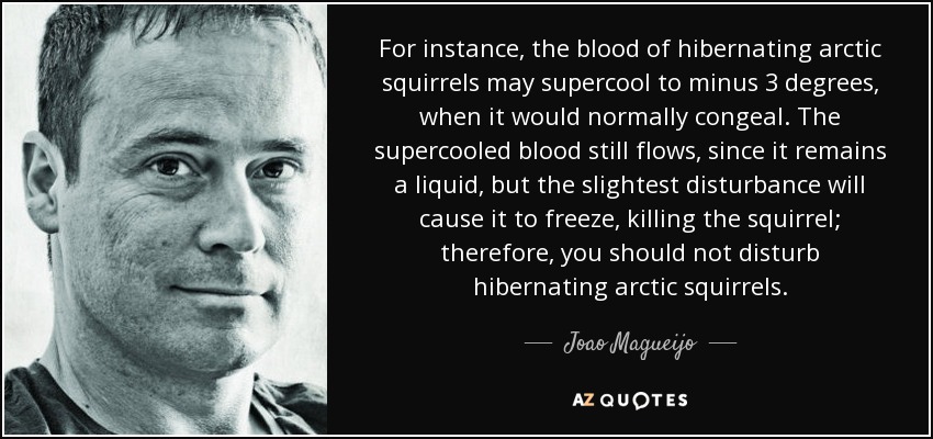 For instance, the blood of hibernating arctic squirrels may supercool to minus 3 degrees, when it would normally congeal. The supercooled blood still flows, since it remains a liquid, but the slightest disturbance will cause it to freeze, killing the squirrel; therefore, you should not disturb hibernating arctic squirrels. - Joao Magueijo