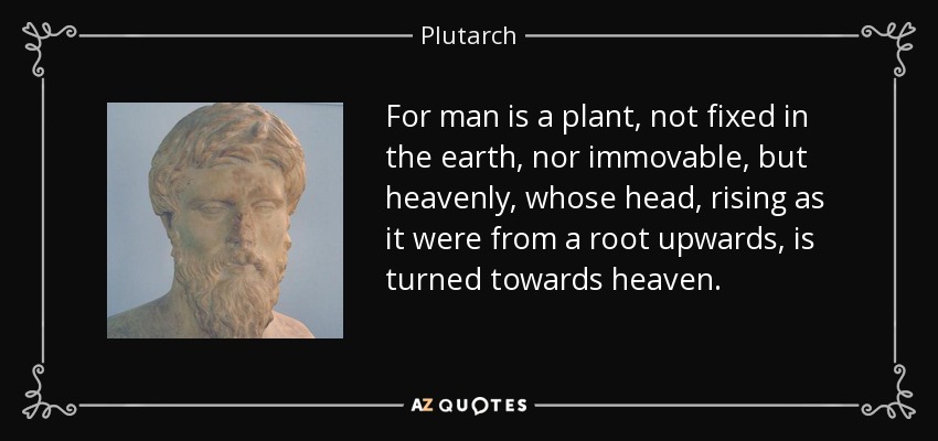 For man is a plant, not fixed in the earth, nor immovable, but heavenly, whose head, rising as it were from a root upwards, is turned towards heaven. - Plutarch