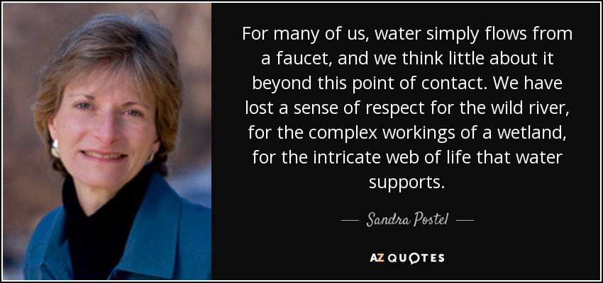 For many of us, water simply flows from a faucet, and we think little about it beyond this point of contact. We have lost a sense of respect for the wild river, for the complex workings of a wetland, for the intricate web of life that water supports. - Sandra Postel