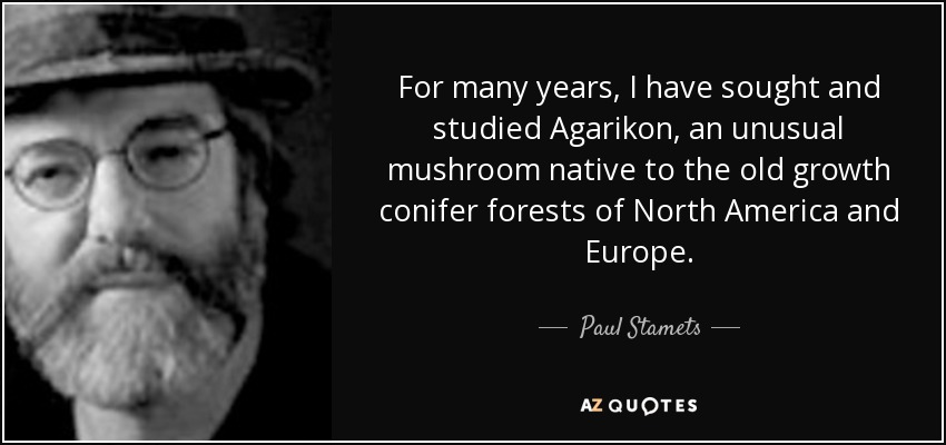 For many years, I have sought and studied Agarikon, an unusual mushroom native to the old growth conifer forests of North America and Europe. - Paul Stamets