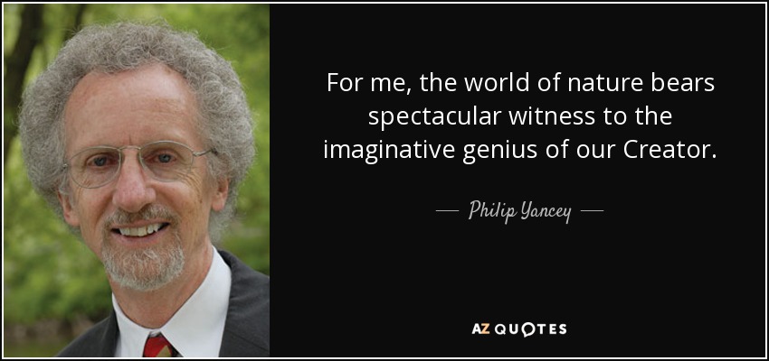 For me, the world of nature bears spectacular witness to the imaginative genius of our Creator. - Philip Yancey