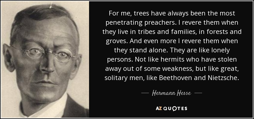 For me, trees have always been the most penetrating preachers. I revere them when they live in tribes and families, in forests and groves. And even more I revere them when they stand alone. They are like lonely persons. Not like hermits who have stolen away out of some weakness, but like great, solitary men, like Beethoven and Nietzsche. - Hermann Hesse