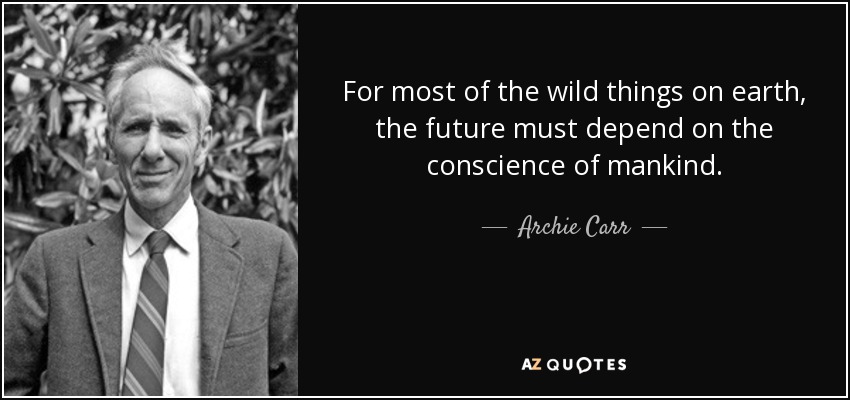 For most of the wild things on earth, the future must depend on the conscience of mankind. - Archie Carr