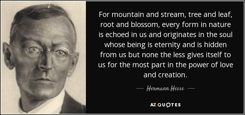 For mountain and stream, tree and leaf, root and blossom, every form in nature is echoed in us and originates in the soul whose being is eternity and is hidden from us but none the less gives itself to us for the most part in the power of love and creation. - Hermann Hesse