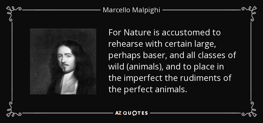 For Nature is accustomed to rehearse with certain large, perhaps baser, and all classes of wild (animals), and to place in the imperfect the rudiments of the perfect animals. - Marcello Malpighi
