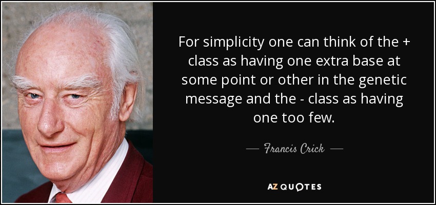 For simplicity one can think of the + class as having one extra base at some point or other in the genetic message and the - class as having one too few. - Francis Crick