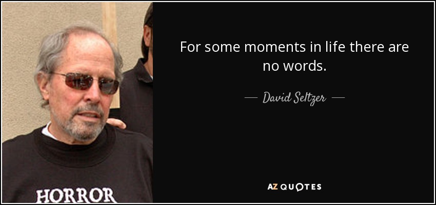 For some moments in life there are no words. - David Seltzer
