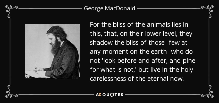 For the bliss of the animals lies in this, that, on their lower level, they shadow the bliss of those--few at any moment on the earth--who do not 'look before and after, and pine for what is not,' but live in the holy carelessness of the eternal now. - George MacDonald