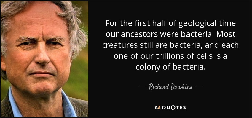For the first half of geological time our ancestors were bacteria. Most creatures still are bacteria, and each one of our trillions of cells is a colony of bacteria. - Richard Dawkins
