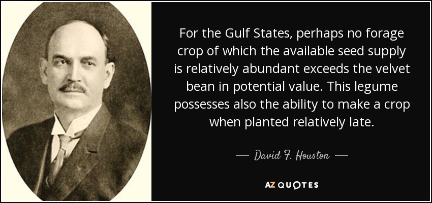 For the Gulf States, perhaps no forage crop of which the available seed supply is relatively abundant exceeds the velvet bean in potential value. This legume possesses also the ability to make a crop when planted relatively late. - David F. Houston
