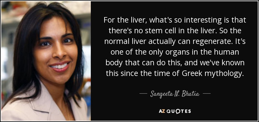 For the liver, what's so interesting is that there's no stem cell in the liver. So the normal liver actually can regenerate. It's one of the only organs in the human body that can do this, and we've known this since the time of Greek mythology. - Sangeeta N. Bhatia