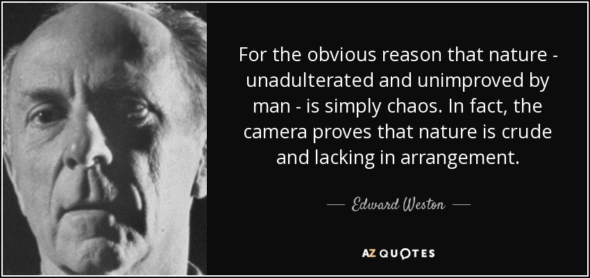 For the obvious reason that nature - unadulterated and unimproved by man - is simply chaos. In fact, the camera proves that nature is crude and lacking in arrangement. - Edward Weston