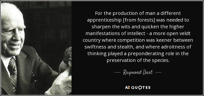 For the production of man a different apprenticeship [from forests] was needed to sharpen the wits and quicken the higher manifestations of intellect - a more open veldt country where competition was keener between swiftness and stealth, and where adroitness of thinking played a preponderating role in the preservation of the species. - Raymond Dart