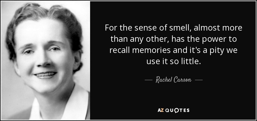 For the sense of smell, almost more than any other, has the power to recall memories and it's a pity we use it so little. - Rachel Carson